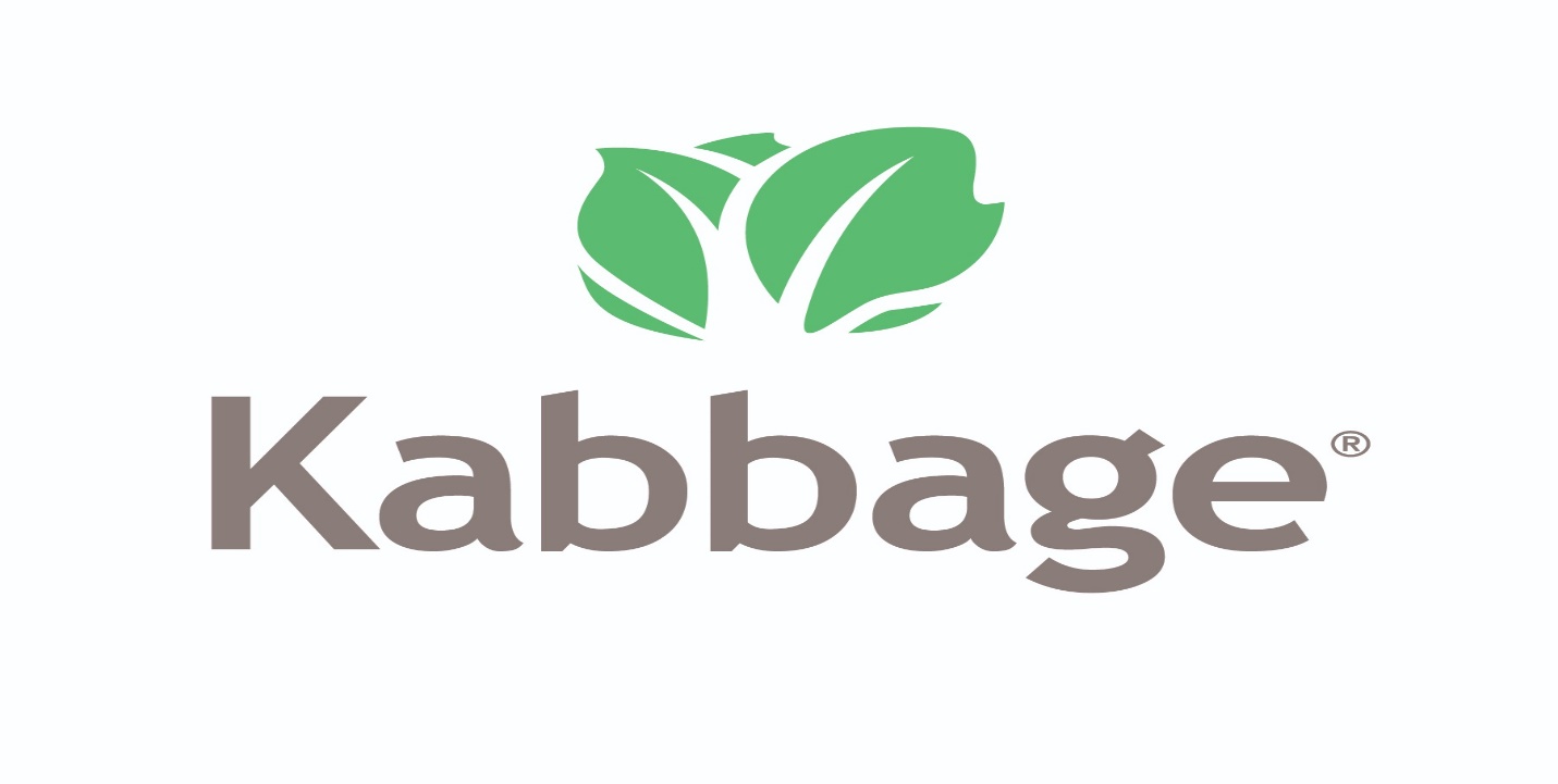 Kabbage — BlueRun Ventures