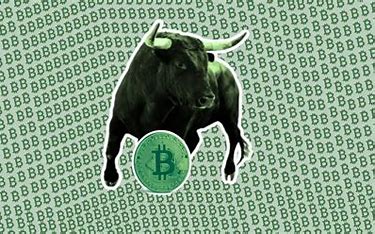 Crypto Bull Shielding Your Wealth 的图像结果