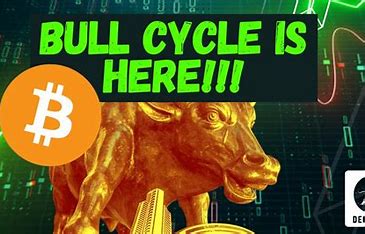 Crypto Bull Run: Shielding Your Wealth