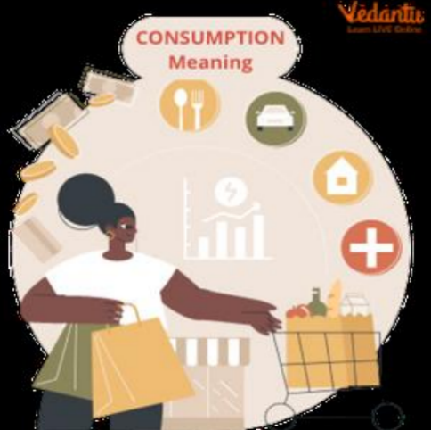 The Vicious Cycle of Consumption